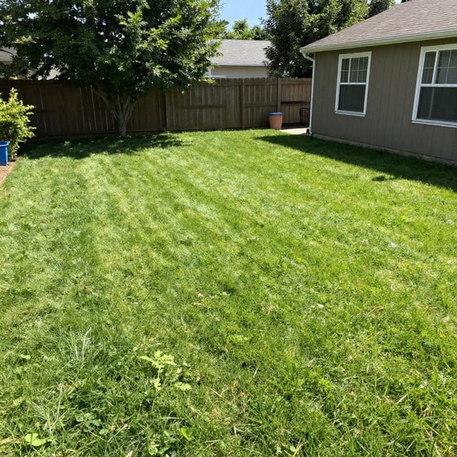 Before transformation