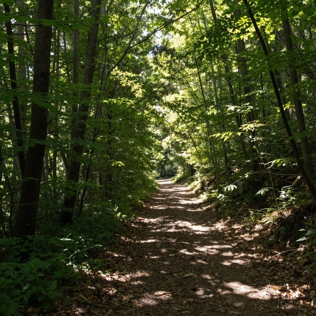 Before transformation