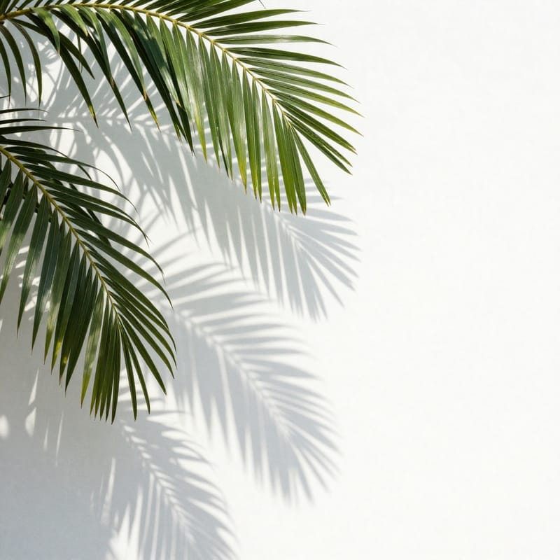 Palm leaf shadows on white wall